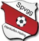 维多利亚阿沙芬堡